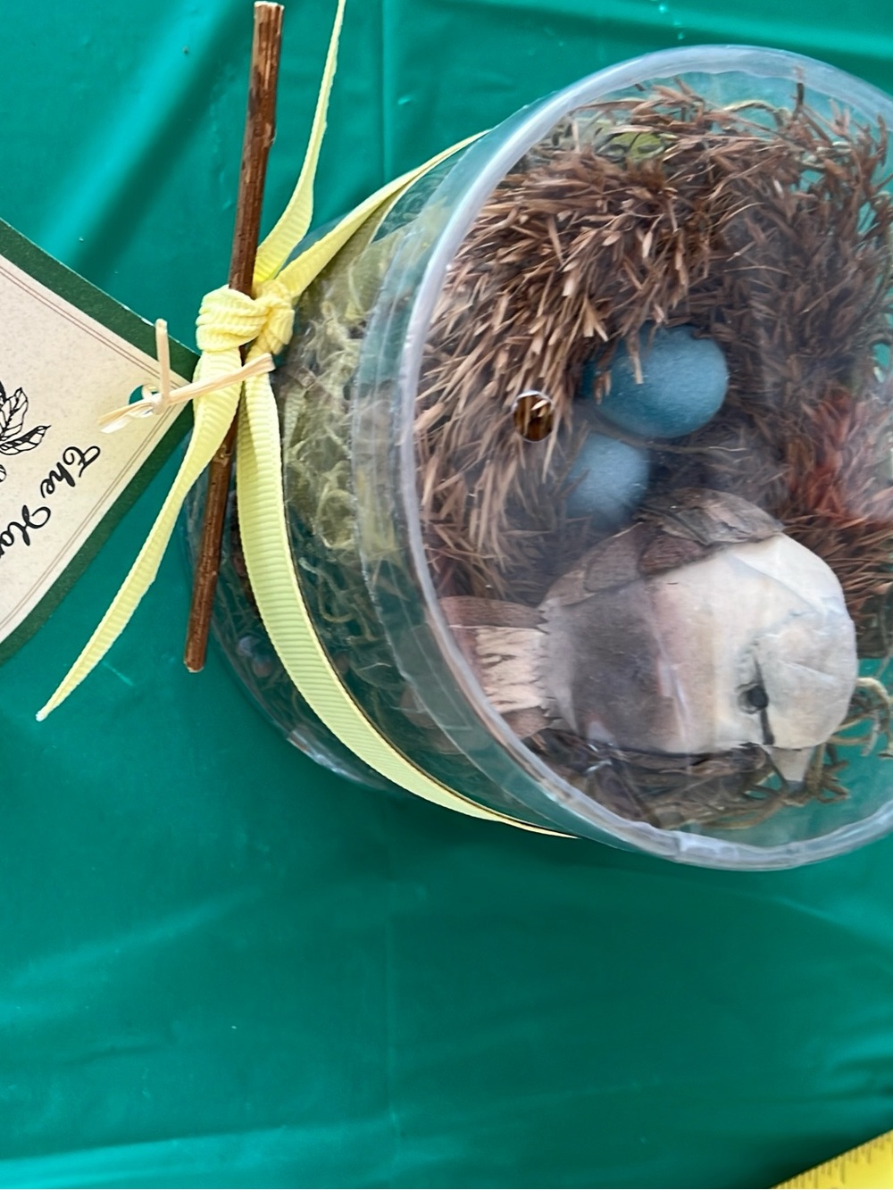Decorative Bird Nest decor- Gift, bird with Blue Eggs.